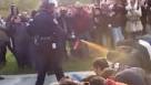 Outrage over police pepper-spraying students - CBS News