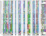 BMC Genomics | Full text | Genome wide expression <b>analysis</b> of CBS