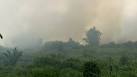 BBC News - Singapore mulls legal action over smog from Indonesia fires