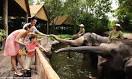 Relax - Singapore Zoo to celebrate 40th anniversary with special ...
