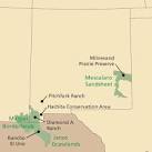New Mexico: Prairie and Desert Grasslands | The Nature Conservancy