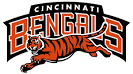 NFL Football Stadiums - Cincinnati Bengals Stadium - Paul Brown.