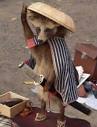Image - Samurai racoon.jpg - Uncyclopedia, the content-free ...