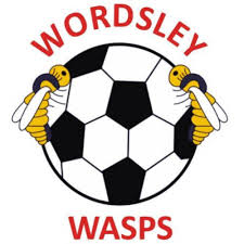 Image result for Wordsley Wasps Junior Football Club
