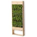 Living Wall Planter - Large Vertical Garden - The Green Head