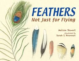 Image result for feathers not just for flying