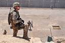 NATO service member killed in southern Afghanistan - Worldnews.
