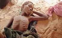 صور أطفال الصومال .. وهم يستغيثون Images?q=tbn:ANd9GcQXujU4dQe6SCa8Vc6iOAWGC8G_wA8lYQI8UKCkifpk_vq0H5GWCaiOEzS8