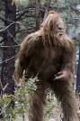SASQUATCH aka Bigfoot | The Abominable Snowman aka Yeti