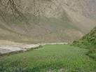 Protect Chenab river from onslaught' | Hill Post