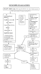 <b>SYNCOPE</b> EVALUATION