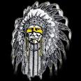 The Buffalo Post » Blog Archive » Bill would use Indian mascots as ...