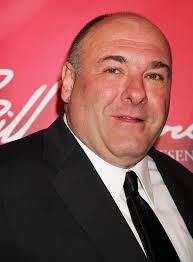 James Gandolfini will likely return to HBO with his next small-screen gig. The Tony Soprano of &quot;The Sopranos&quot; has snatched a role on &quot;Criminal Justice&quot;, ... - james-gandolfini-keep-memory-alive-power-of-love-gala-01
