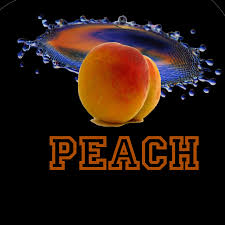 summer peach : THE ROBOT - Summer-Peach-(v3)