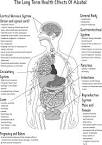 Alcohol and Other Drugs