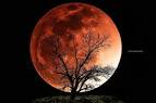 Blood Moon Eclipse To Be Visible Beginning Tomorrow Morning - The.
