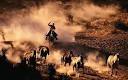 Mustering horses in the wild west - The USA: an Insider's guide - great ... - yihaa-cowboy_1241868c