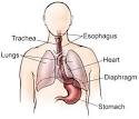 ESOPHAGEAL CANCER | STS