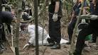 Asia migrant crisis: Malaysia exhumes mass graves - BBC News