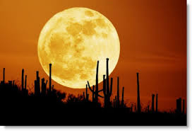 Super moon returns to night skies on May 5, 2012 Images?q=tbn:ANd9GcQtFke_1e9bp_NS3SWLbsw36HRqWCOKEVc0TLbXmtNszyVeRry5