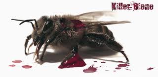 Killer-Biene - Bild \u0026amp; Foto von Steffen Dörnbrack aus 15.08.2007 ... - 10041994