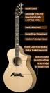 BREEDLOVE Master Class guitars available at Guitar Affair