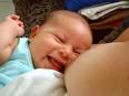 Stock photo: <b>Lactation</b> 3