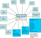 <b>Kidney failure</b>