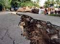 Earthquake Pictures - HowStuffWorks