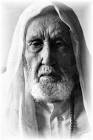 Sidi Shaikh Mohamed Al Faytouri – The Moqaddim of Shaikh Al Alawi in - Shaikh_Sidi_Mohamed_Al_Faytouri