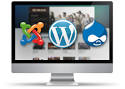 Web Design Company | Professional Web Services | Forex Web