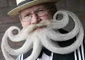 Beard World Championship: The world's best beards in competition. 05/01/2006 - 0,1020,618556,00