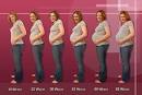 examined while <b>pregnant</b>.
