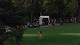There's a streaker at the Presidents Cup on Sunday [PIC]