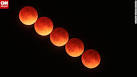 Blood moon the sequel had millions gazing at the skies - CNN.