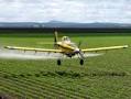 <b>Pesticide</b> Section: The