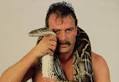 Jake Roberts Shows His Snake to Wrestling Crowd - jake_snake_crop_340x234