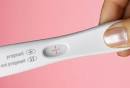 When Should I Take PREGNANCY TEST after Ovulation?