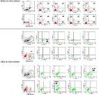 <b>Linfociti T Cd8 Positivi</b>