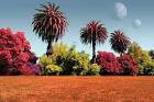 NASA - NASA Predicts Non-Green Plants on Other Planets