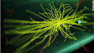 What is the Higgs boson and why is it important? - CNN.