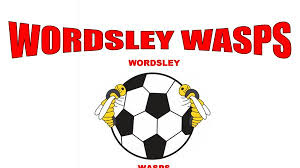 Image result for Wordsley Wasps Junior Football Club