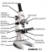 Microskop dan komponen-komponennya