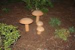 Concrete Mushrooms -- Yard Art