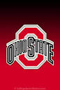 OHIO STATE Buckeyes | College Sports Nation