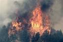 World Environment News - Forest fire crews gain ground in Colorado ...