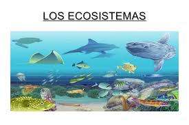 Resultado de imagen de imágenes los ecosistemas