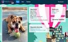 MatchPuppy: An online dating website for dogs