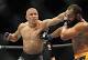 UFC 167 Results: What's Next for the Winners