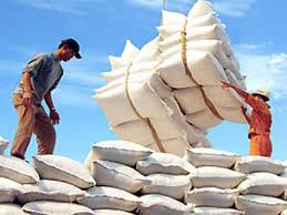  Cạnh tranh xuất khẩu gạo ngày càng quyết liệt